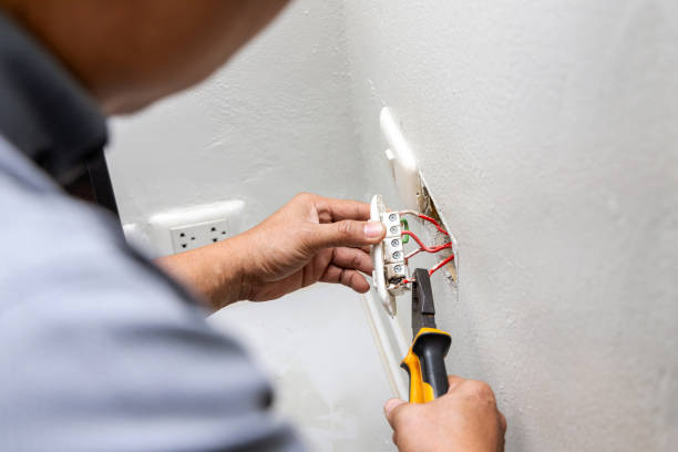 Best Outdoor Lighting Installation  in Homer, IL