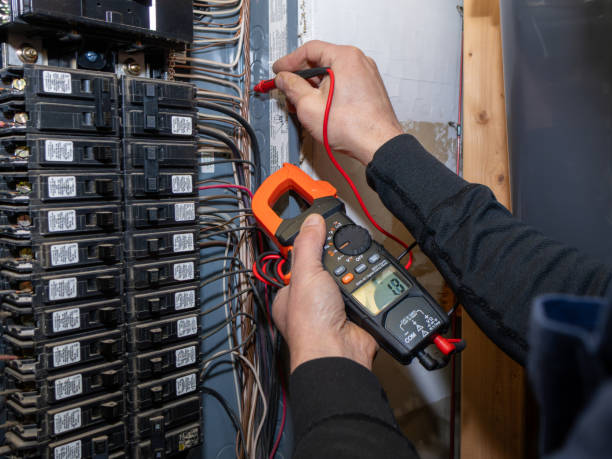 Best Home Electrical Repair  in Homer, IL
